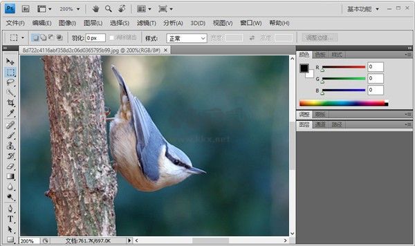 Photoshop cs4綠色版