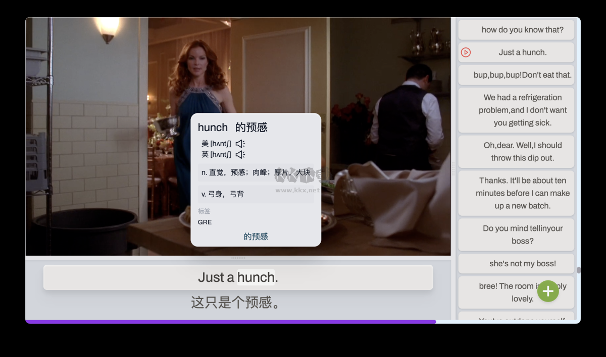 DashPlayer播放器硬解翻譯軟件