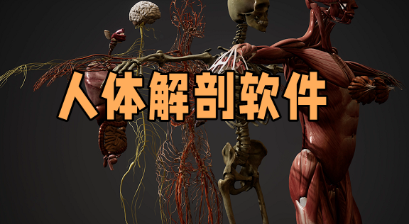 人體解剖軟件推薦下載-人體解剖圖譜app免費(fèi)下載-完整的人體解剖圖譜app免費(fèi)下載大全