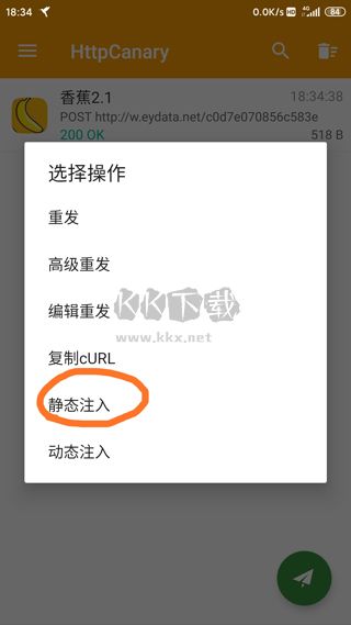 HttpCanary(小黃鳥)安卓版