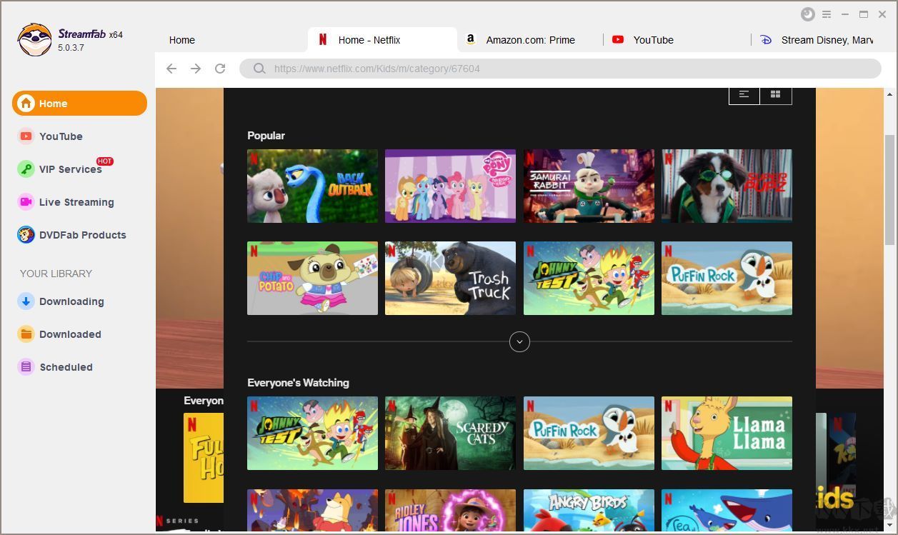 DVDFab StreamFab視頻轉(zhuǎn)換工具