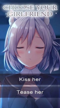 我的高校貓女友