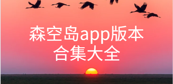 森空島app下載-森空島官方版/正版/手機版-森空島app版本合集大全