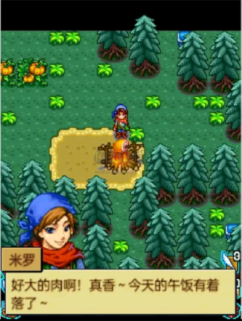 寵物王國4白金安卓漢化版