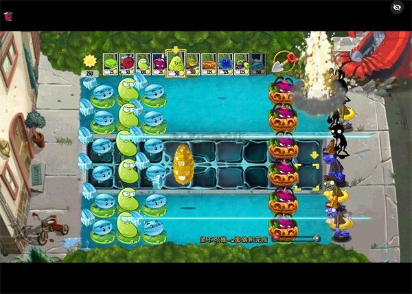 植物大戰(zhàn)僵尸綻放時(shí)空版