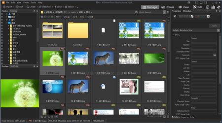 ACDsee電腦版官方2024最新