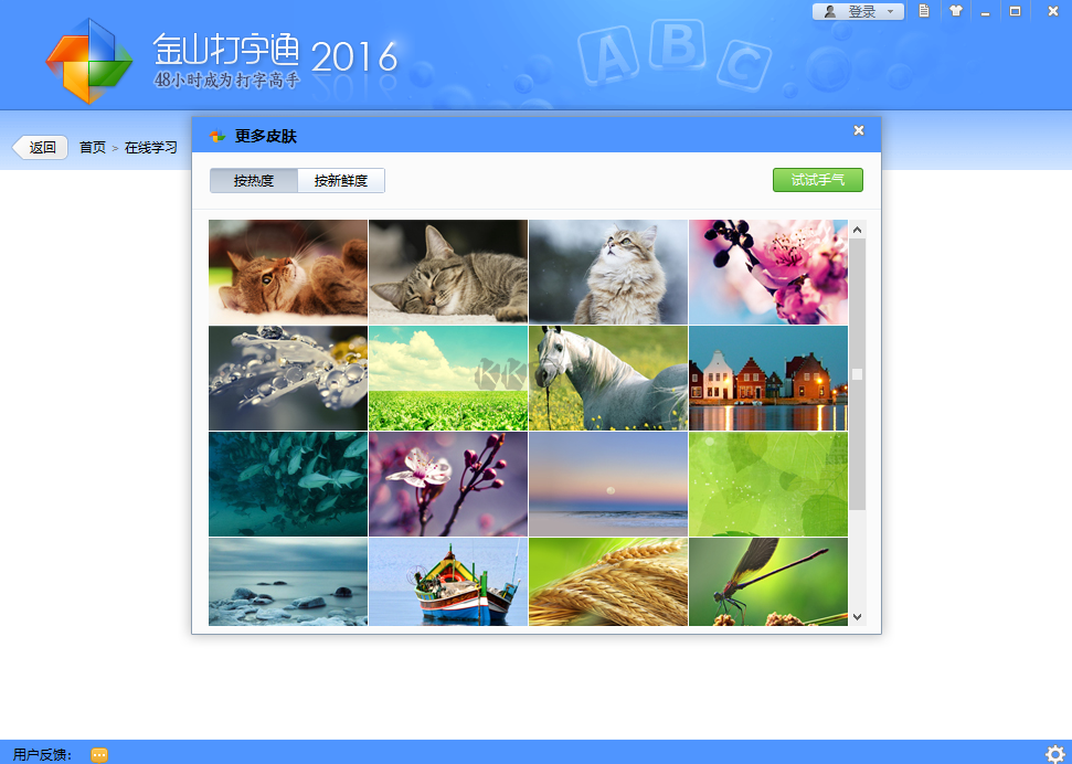 金山打字通PC客戶端官方最新版