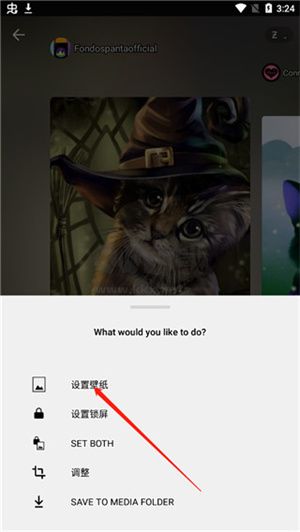 zedge壁紙app安卓官方新版本