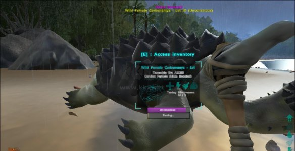 方舟生存進(jìn)化客戶端