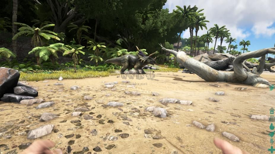 方舟生存進化官方正式版