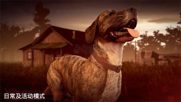 勇闖死人谷2無限金幣版