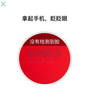 廣東稅務(wù)2024最新版