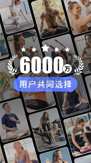 每日瑜伽2024最新電視TV版