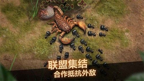 小小蟻國臺灣版