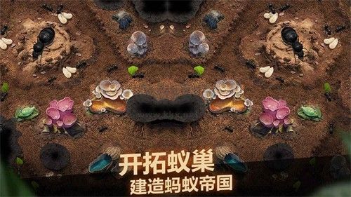 小小蟻國臺灣版