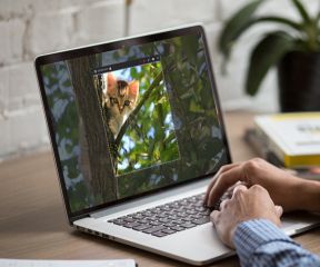 嗨格式錄屏大師PC客戶端官方版最新