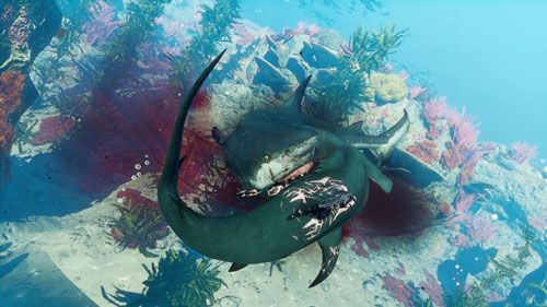 食人鯊十三項(xiàng)風(fēng)靈月影修改器