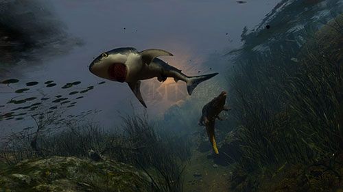 食人鯊十三項(xiàng)風(fēng)靈月影修改器