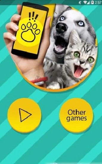 狗語(yǔ)翻譯器中文版