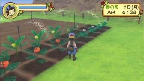 牧場物語蜜糖村漢化版