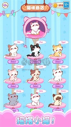 貓咪合唱團2024最新版