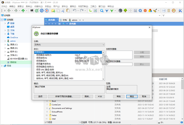 XYplorer(文件資源管理器)