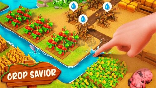 家庭農(nóng)場(chǎng)探險(xiǎn)國(guó)際服