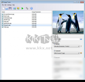 Image Tuner(圖片批量處理工具)
