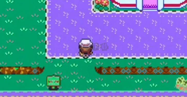 精靈寶可夢(mèng)無(wú)限大道漢化版