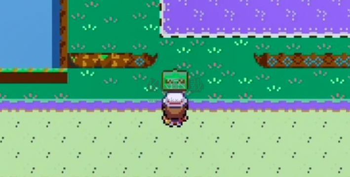 精靈寶可夢(mèng)無(wú)限大道漢化版