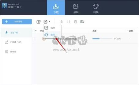 Apowersoft視頻下載王