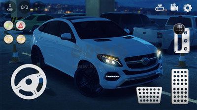 真實(shí)泊車2內(nèi)置菜單版