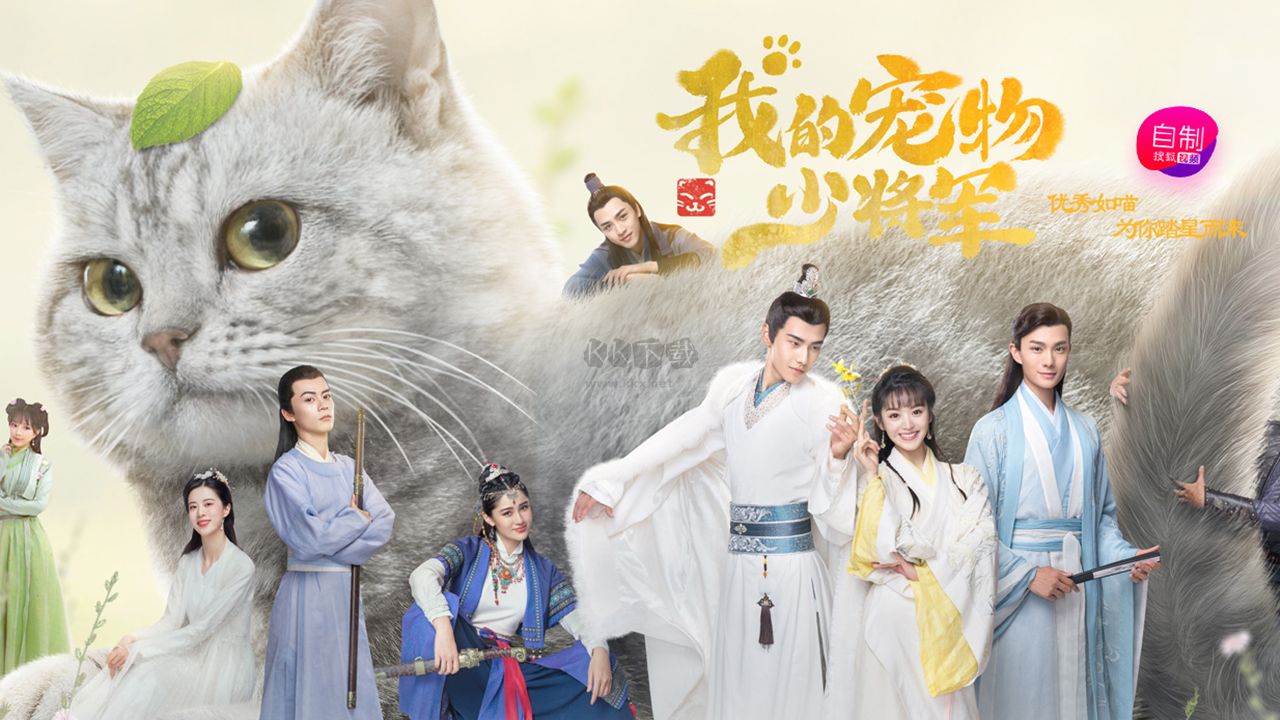 搜狐視頻精簡版