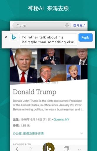 必應地圖中文版