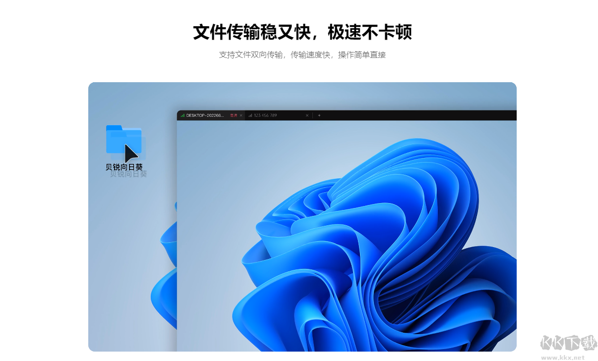 向日葵客戶端企業(yè)版pc端