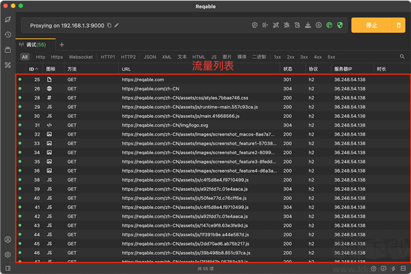 Reqable專業(yè)版