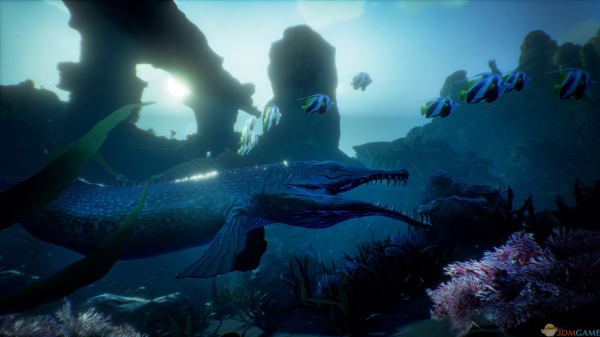 流放者柯南十六項修改器