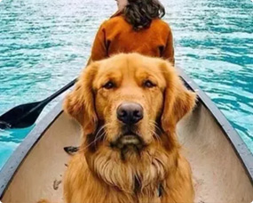 風云水印管家免費版