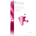 retas studio(二維動(dòng)畫制作軟件) v2.2.1綠色版