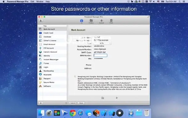 password manager XP(數(shù)據(jù)加密軟件)