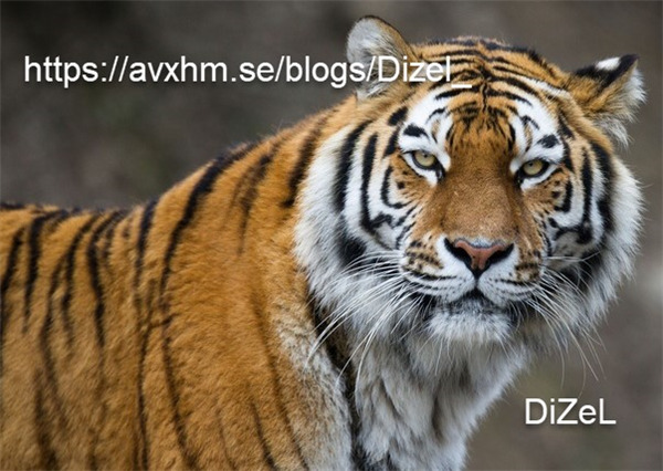 NXPowerLite(文檔瘦身工具)