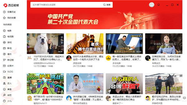 西瓜視頻電腦版