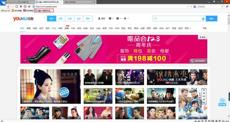 閃游瀏覽器(SaaYaaExplorer)