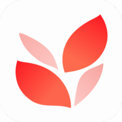 小滿壁紙免費版 v1.1.2綠色版