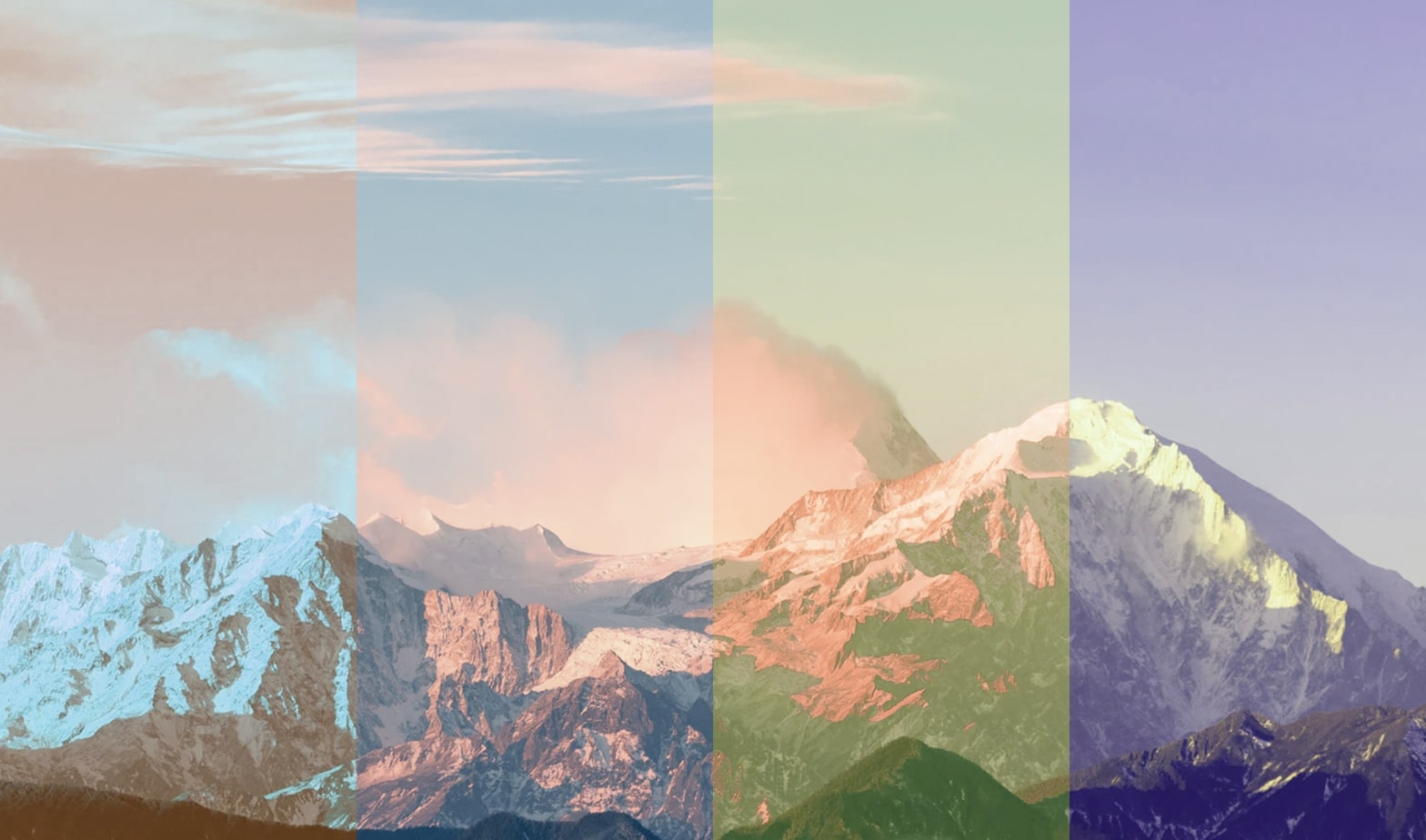 BeeCut(蜜蜂剪輯)