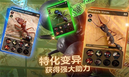 小小蟻國安卓版