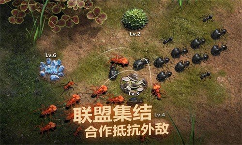 小小蟻國安卓版