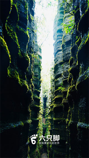 六只腳戶外徒步app安卓版