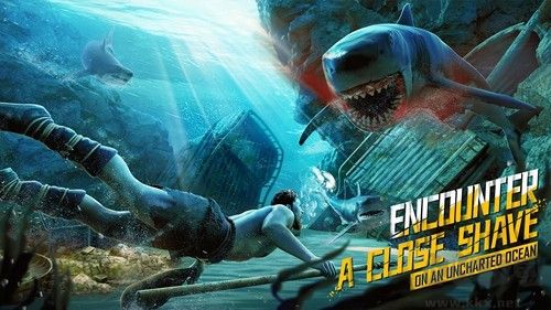 迷失蔚藍(lán)2命運(yùn)島國(guó)際版