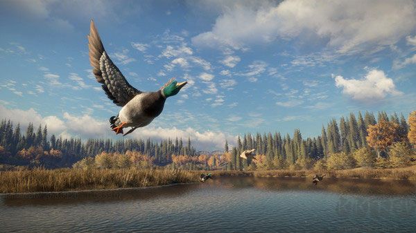 獵人荒野的召喚PC